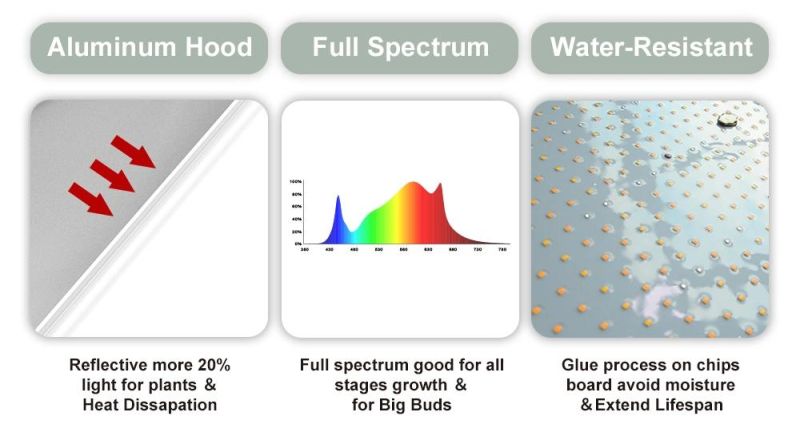 ETL Certified Competitive Full Spectrum 240W LED Photon Board Grow Panel for Indoor Plants