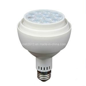 High Power LED PAR Light 30W E27, Spotlight
