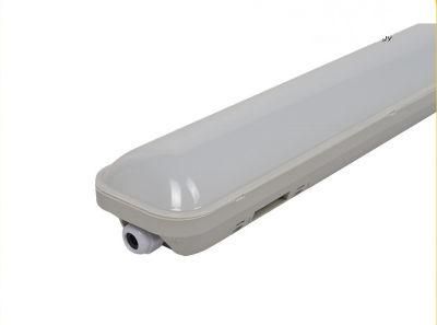 4 Feet 40W LED Non Corrosive Weatherproof Lighting - IP65