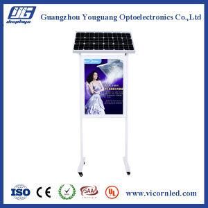 Hotsale: Sol-60 Double Side Solar Power LED Light Box