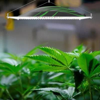 New Hydroponic 1000W LED Grow Lights HPS Replacement Full Spectrum for Indoor Plants