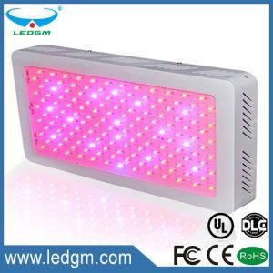 Hydroponics Red Blue Purple Color Square Shape 220-230W LED Grow Light