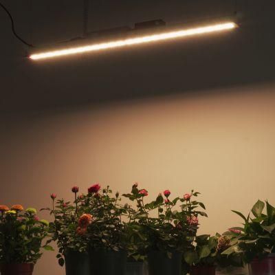 Lumin New Design Full Spectrum 100W LED Plant Grow Light for Greenhouse