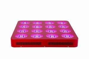 LED Grow Light (RY-DDY-SP113D)