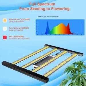 Top Lighting 216W 310W Leoon Greenhouse LED Grow Light UV IR Full Spectrum Hydroponics Grow Light for Indoor Plants