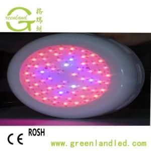 Ce RoHS High Power Full Spectrum 30W LED Grow Light