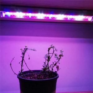 180W Wholesale Multi Color LED Grow Light Tube / Bar/ Strips Manufacturer