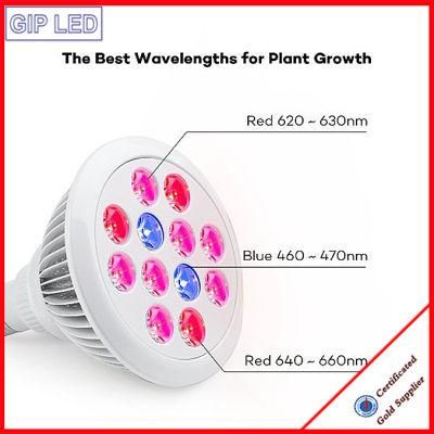 Hot Sale in 2016 E27 12W 24W LED Grow Light for Plant Growing