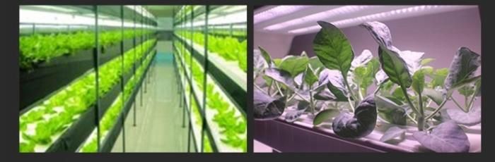 Waterproof Integrated Plant Seed Starting Veg 4FT Strip Bar Blue Red Full Spectrum T5 Tube 18W LED Grow Light