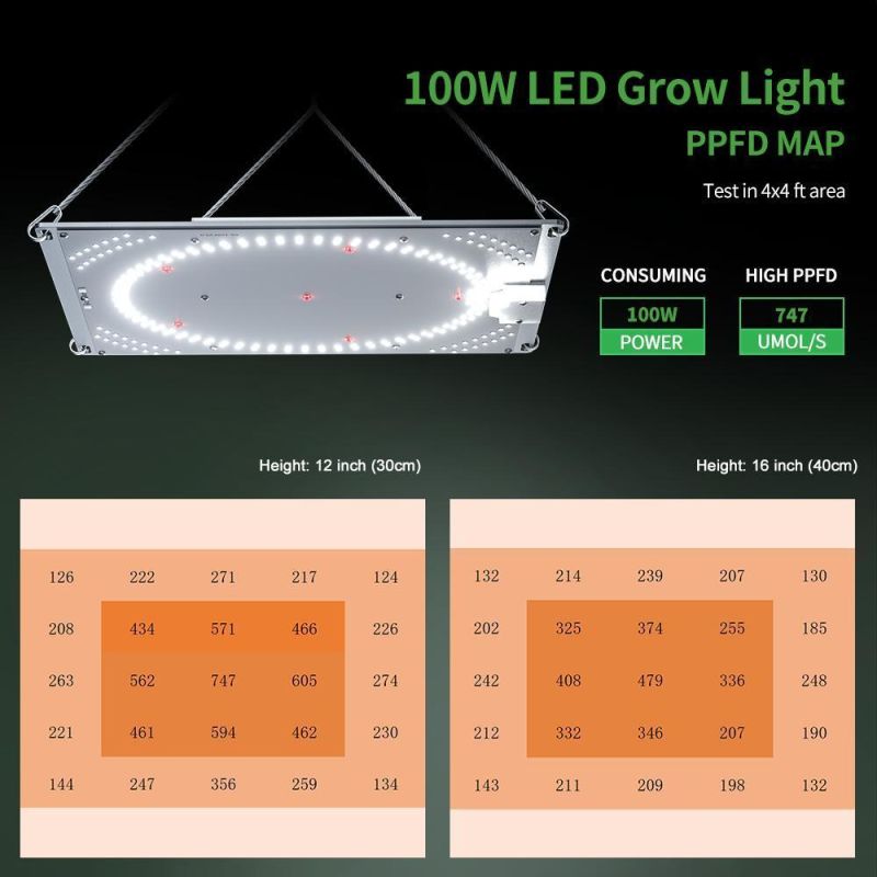 New Patent 100W 200W 300W Full Spectrum 0-100% Dimmable High Ppf Wholesale LED Grow Panel Plant Lights Daisy Chain Function for Indoor Greenhouse Farmer