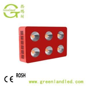 Wholesale Full Spectrum Powerful Hydroponic COB LED Grow Light Manufacturer