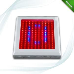 150W 150PCS*1W LED LED Grow Light (KJ-G150W)