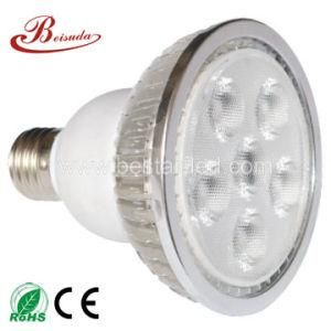 LED PAR Light (BSD-SLPAR38-12W)