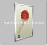 Advertising Display LED Slim Light Box