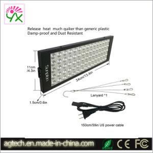 Green House LED Lights Red/Blue Wave LED Grow Lights