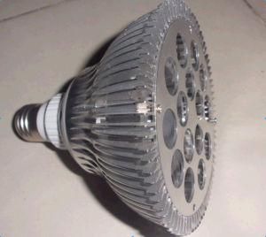 PAR38 LED PAR Spot Lamp (High Power)