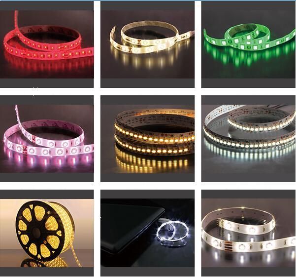 RGB 14.4W 5 Meters LED Strip Light with 2835 Chips