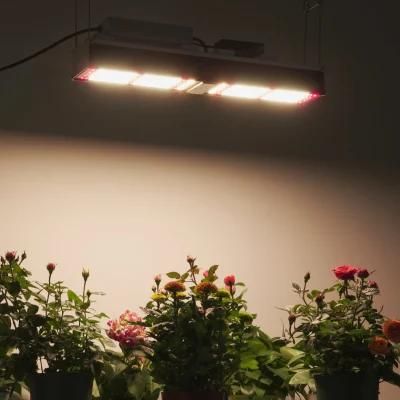 320W Linear Grow Lamp Full Spectrum High Bay Grow Light for Greenhouse