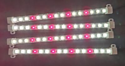 Wholesale Cheap LED Light Strip Full Spectrum LED Grow Light for Greenhouse Garden with ETL