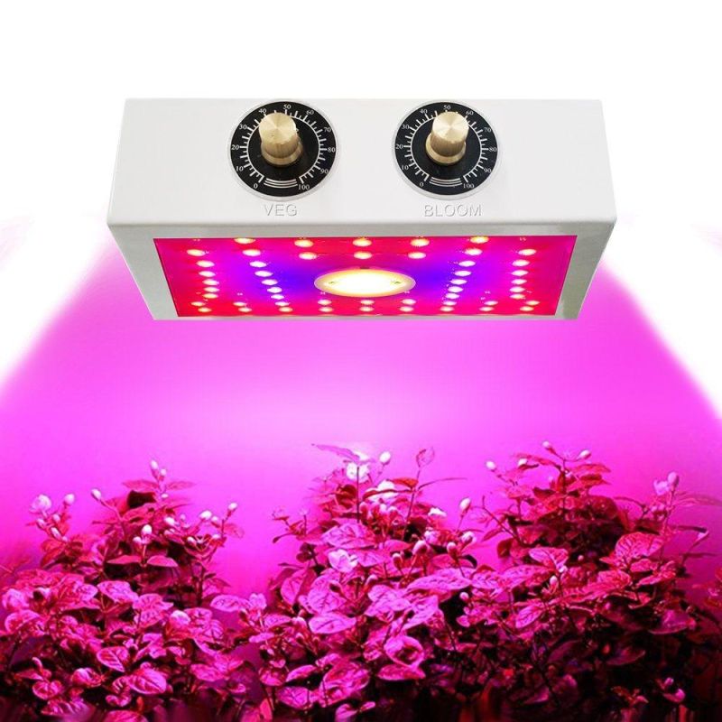 1000W COB LED Grow Light for Indoor Plants