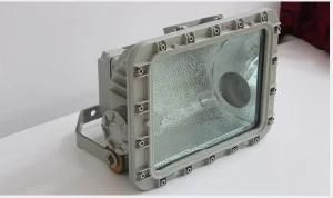 Explosion-Proof Floodlight (HID)