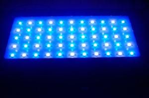 120W LED Aquarium Light Good Quality (LP-AL-120W2D)