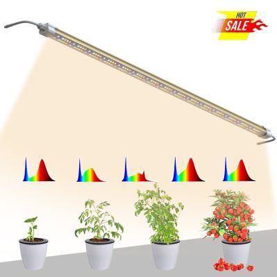 Samsung Strip Indoor Quantum High Power Horticulture Board Lamp Full Spectrum Growing Plant Wholesale LED Grow Light Pvisung Growlight