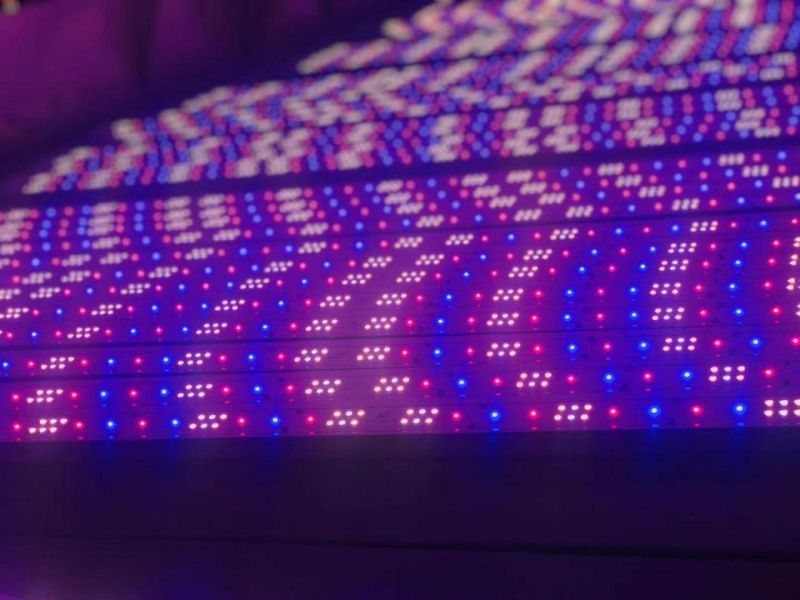 Best Seedling Grow Light 40W Small Indoor Grow Light for Sales