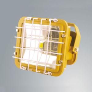 30 Watt Explosion Proof Floodlight