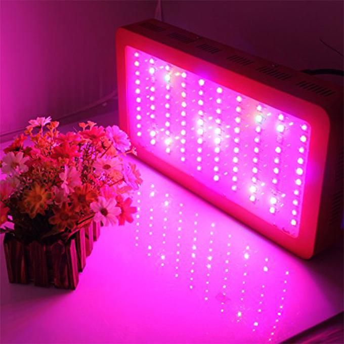 Decorative Plant Indoor Grow Lights, LED Plant Light (SLPT02)