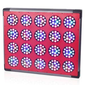 Hing Power Plant Grow Light