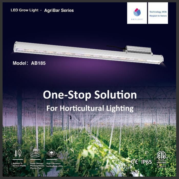 ISO Manufacturer 2020 LED Grow Light for Veg/Bloom