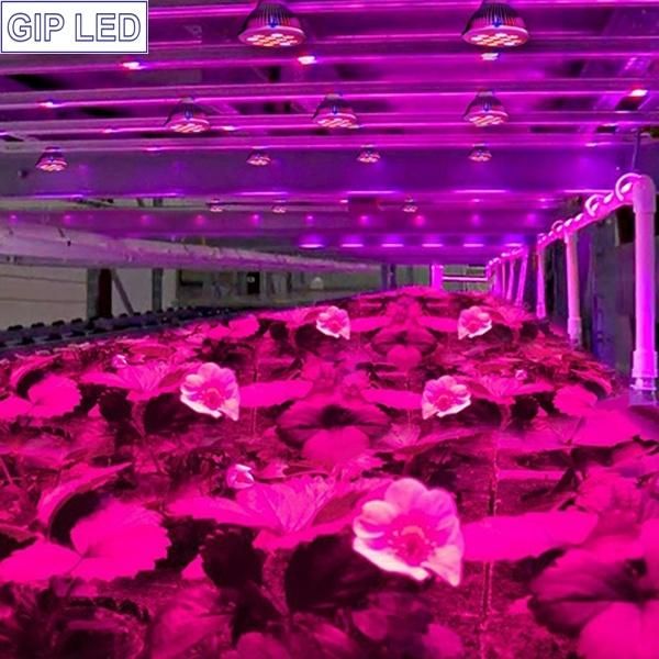 2016 Newest E27 12W 24W PAR38 Grow Plant LED Light