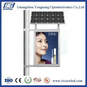 Double side Solar LED Light Box with Single Pole-SOLPS