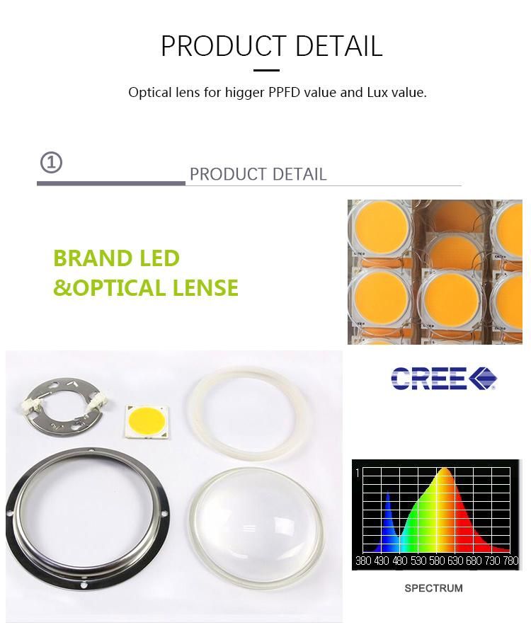 Greenhouse Crees Cxb 3590 3000K Lights 100W 200W DIY COB LED Grow Light Kits