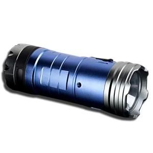 3X18650 Batt Blue and White LED Fishing Light