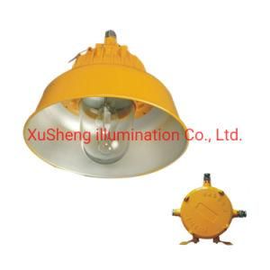 High Quality Warehouse Lighting 250W Explosion Proof Light High Bay Light for Hazardous Area Applications