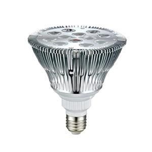 LED PAR38 13W 12X1 HP