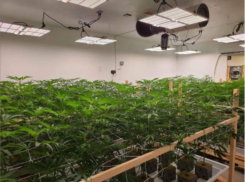 Factory Quantum LED Board 120W Full Spectrum LED Grow Lights