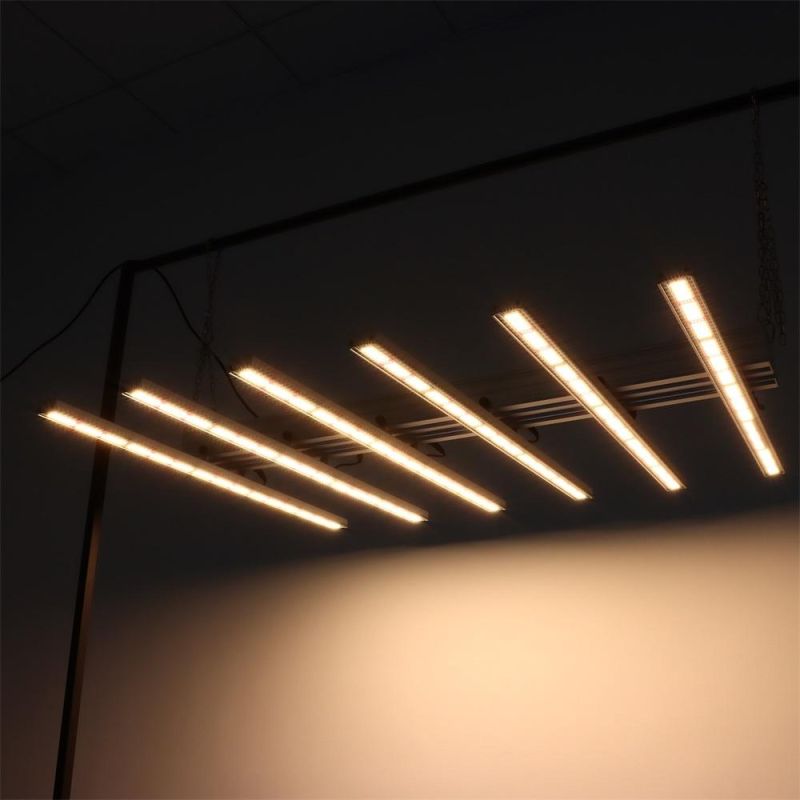 Dimmable 800W LED Grow Light for Indoor Plants, Indoor Farming Horticulture Light with RoHS