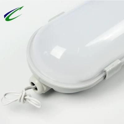 2700-6500K High Lumen LED Waterproof Outdoor Light Fixed Luminaire with Emergency Function Outdoor Light LED Lighting