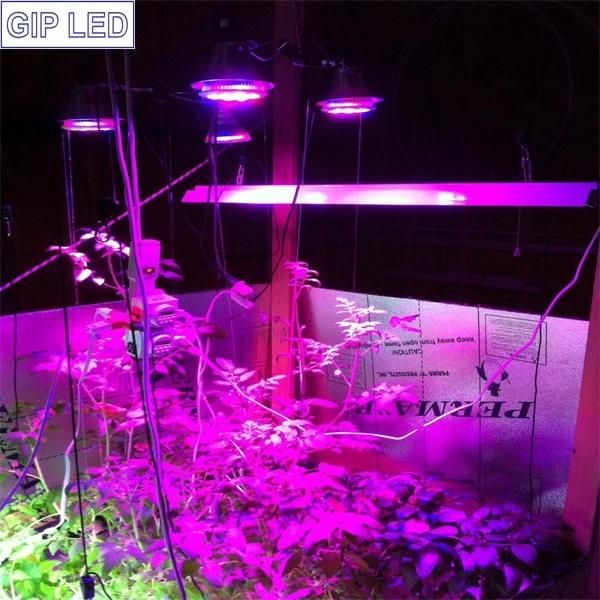 Vegetables/Flowers/Bloom/Hydroponics 12W E27 LED Grow Light