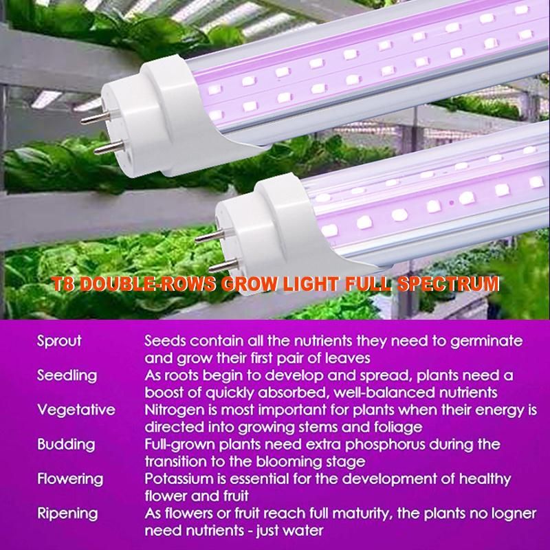 LED Plants Light 1200mm Fleshy Vegetables and Flowers Grow Light in Greenhouse T8 Lamps