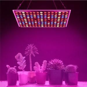 Top Quality CF Grow Greenhouse Full Spectrum 300W Quantum LED Board LED Grow Light