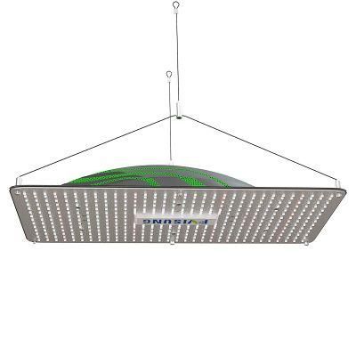 Samsung Strip Indoor Quantum High Power Horticulture Board Lamp Full Spectrum Growing Plant Wholesale LED Grow Light Pvisung Ideal in Sure