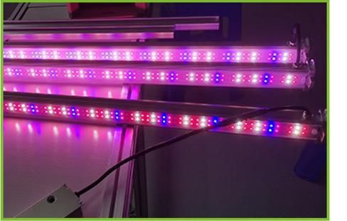 120W LED Grow Light Bar High Efficacy for Greenhouse