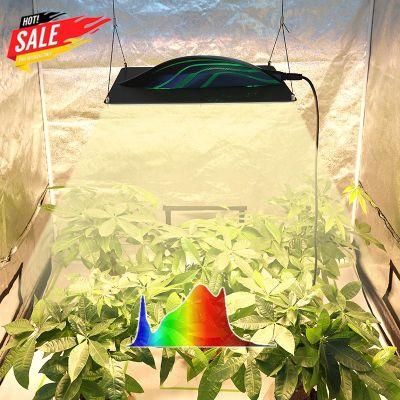 Indoor Wholesale Samsung Horticultural Bar Lighting Full Spectrum LED Grow Light Pvisung Growspec Biotech