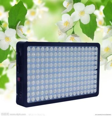 New Arrival Best Us Seller 900W 1200W Panel LED Grow Lights