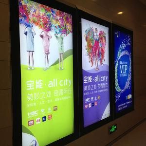 Acrylic LED Advertising Waterproof Slim Light Box (Model 5050)