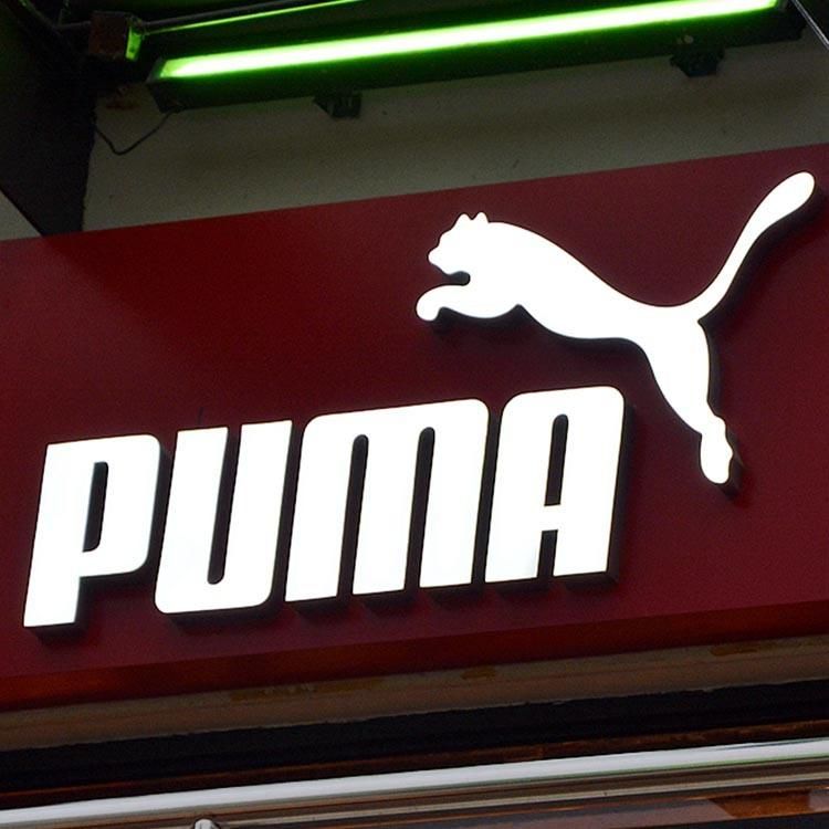 LED Logo Sign Store Front Lit Channel Letter Advertising Board